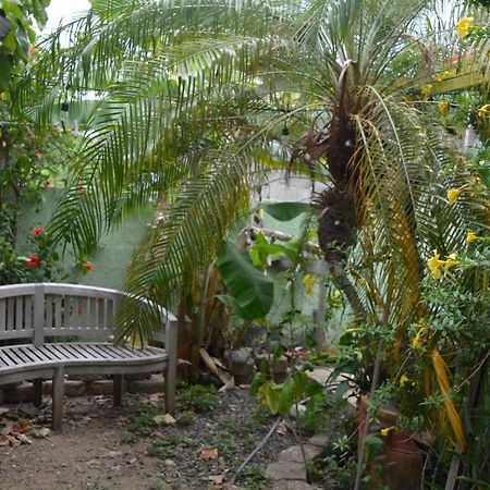 Palmetto Guesthouse Isla Culebra ภายนอก รูปภาพ