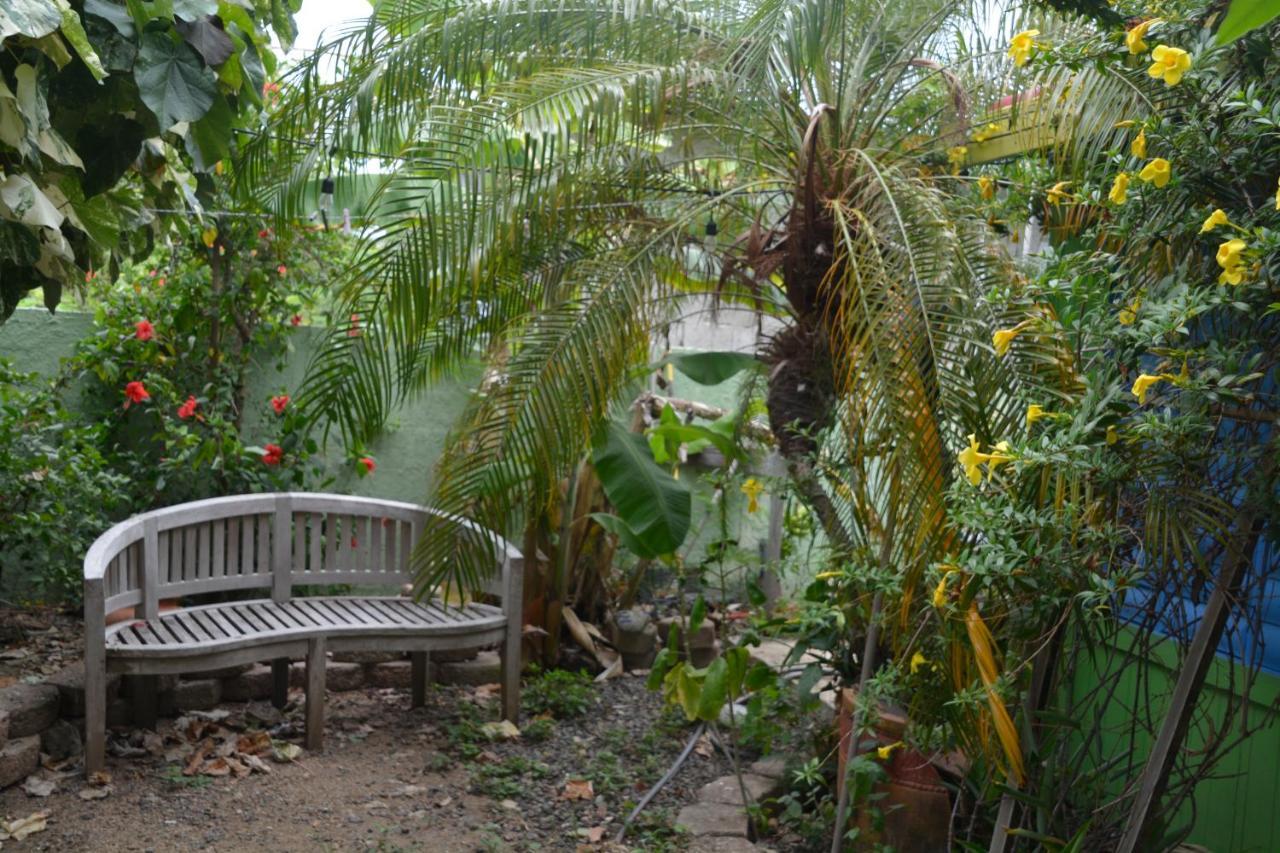 Palmetto Guesthouse Isla Culebra ภายนอก รูปภาพ